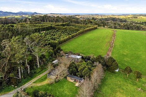 Photo of property in 497a Tara Road, Mangawhai, 0573