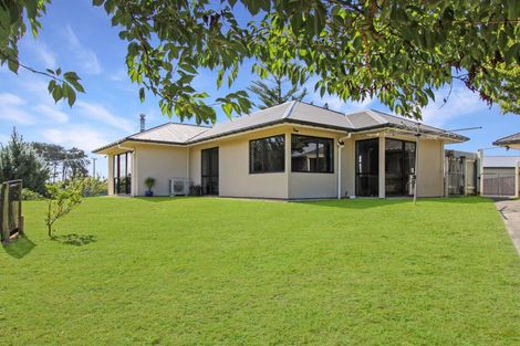 Photo of property in 131 Palmer Road, Foxton Beach, Foxton, 4891