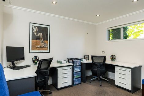 Photo of property in 8 Covent Gardens, Springlands, Blenheim, 7201