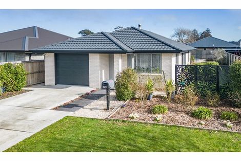 Photo of property in 122 Chinnerys Road, Woodend, 7610