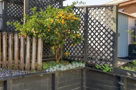 Photo of property in 6 Glenside Rise, Grandview Heights, Hamilton, 3200