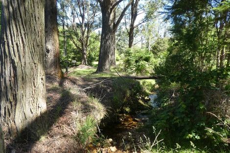 Photo of property in 168 Graham Valley Road, Motueka Valley, Motueka, 7196