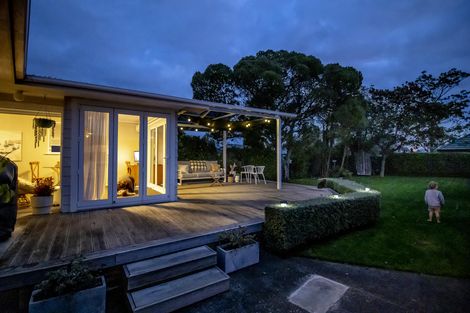 Photo of property in 151 Limbrick Street, Terrace End, Palmerston North, 4410