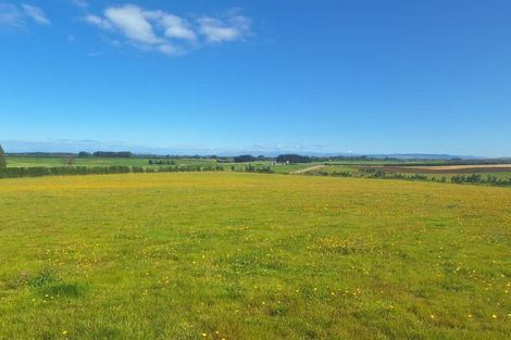 Photo of property in 60 Forest Hill Cemetery Road, Lochiel, Winton, 9781