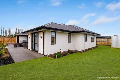 Photo of property in 8 Mcquillan Avenue, Woodend, 7610