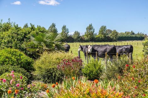 Photo of property in 178 Upper Manaia Road, Upper Plain, Masterton, 5888