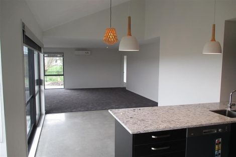 Photo of property in 25 Edwin Ebbett Place, Wigram, Christchurch, 8025