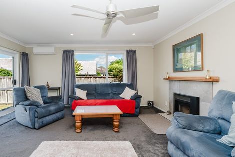 Photo of property in 177 Clarkin Road, Fairfield, Hamilton, 3214