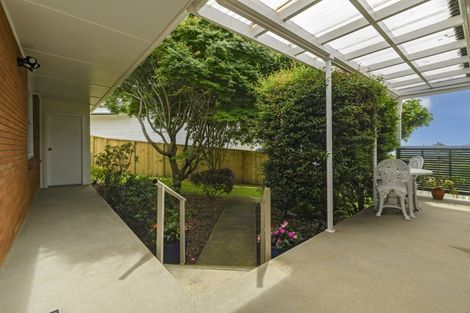 Photo of property in 24 Highfield Crescent, Brookfield, Tauranga, 3110