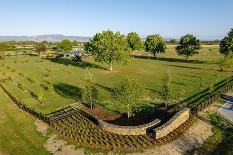 Photo of property in 18 Orchard Place, Matamata, 3472