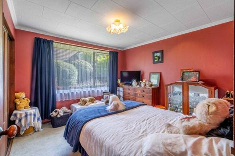 Photo of property in 8 Merlin Place, Gore, 9710