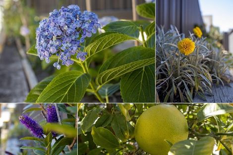 Photo of property in 19 Omega Place, Coastlands, Whakatane, 3120