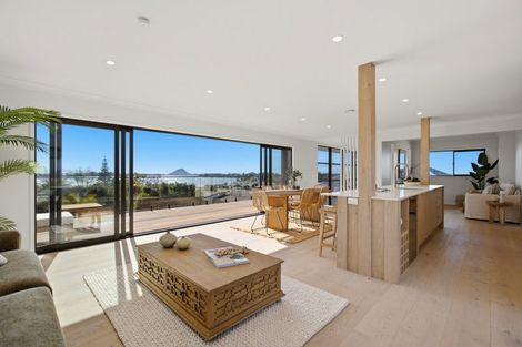 Photo of property in 359 Maungatapu Road, Maungatapu, Tauranga, 3112