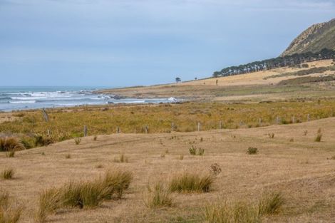 Photo of property in 451 Tora Farm Settlement Road, Tora, Martinborough, 5782