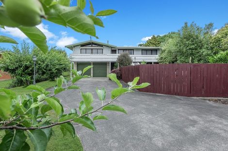 Photo of property in 490a Thames Street, Morrinsville, 3300