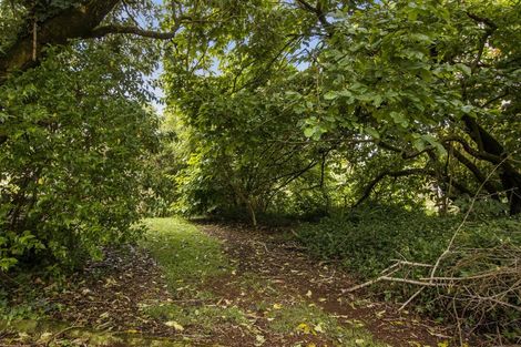 Photo of property in 45 Poland Street, Waikino, Waihi, 3682