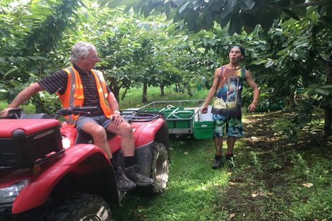 Photo of property in 66 Gladsmuir Road, Queensberry, Cromwell, 9383