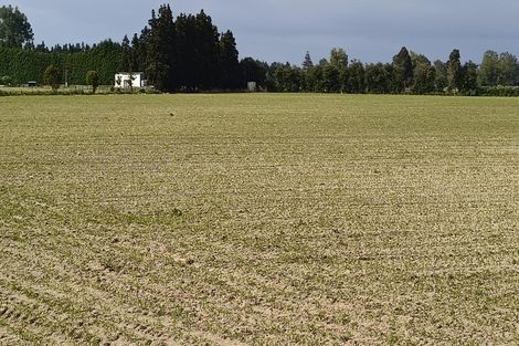 Photo of property in 53 Friedlander Road, Eureka, Hamilton, 3287