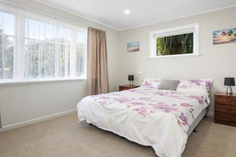 Photo of property in 12 Burden Street, Redwoodtown, Blenheim, 7201