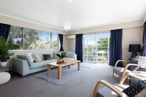 Photo of property in 38d Mclauchlan Street, Springlands, Blenheim, 7201