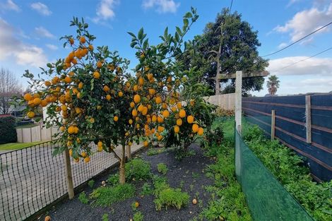 Photo of property in 2 Gilfillan Drive, Katikati, 3129