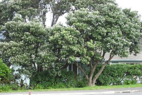 Photo of property in 44 Ludlam Street, Seatoun, Wellington, 6022