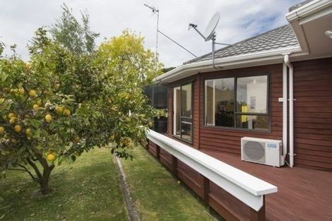 Photo of property in 2/47 Girven Road, Mount Maunganui, 3116