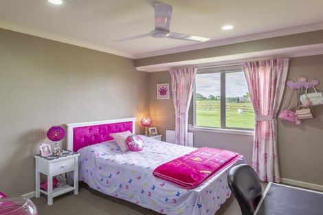 Photo of property in 332 Shewan Road, Gordonton, Hamilton, 3281