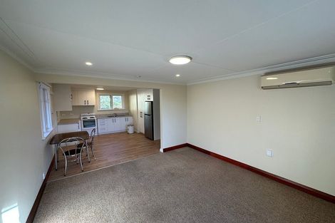 Photo of property in 509 South Road, Calton Hill, Dunedin, 9012