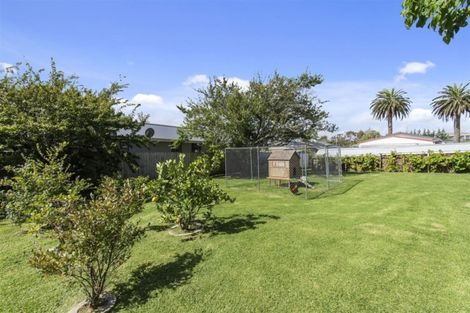 Photo of property in 19 Mellsop Avenue, Waiuku, 2123