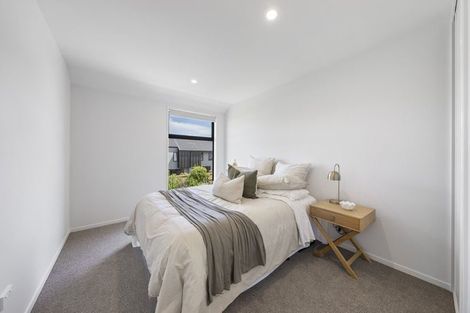 Photo of property in 50c Leitch Street, Somerfield, Christchurch, 8024