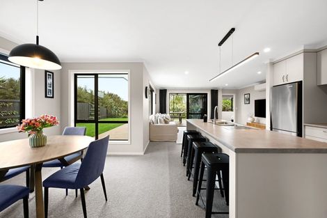 Photo of property in 263 Dixon Road, Fitzroy, Hamilton, 3206