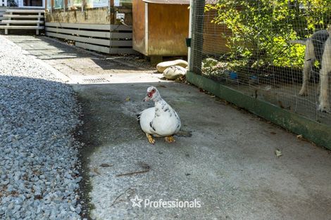 Photo of property in 2296b Akatarawa Road, Akatarawa Valley, Upper Hutt, 5372