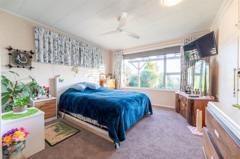 Photo of property in 12 Hillview Place, Pleasant Point, 7903