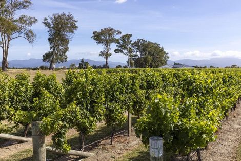 Photo of property in 29 Hardings Road, Riverlands, Blenheim, 7274