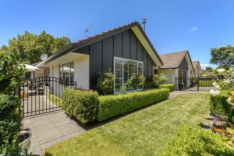 Photo of property in 127 Saint Andrews Drive, Bethlehem, Tauranga, 3110