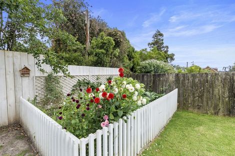 Photo of property in 64 Tiroroa Avenue, Te Atatu South, Auckland, 0610