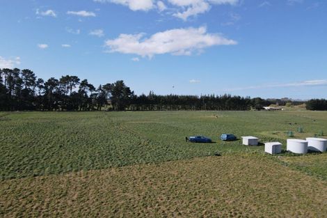 Photo of property in 162 Taylor Road, Ongaonga, 4278