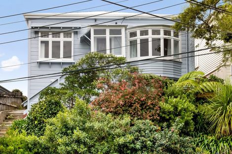 Photo of property in 9 Mckinley Crescent, Brooklyn, Wellington, 6021