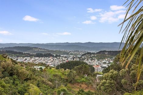 Photo of property in 100 Farnham Street, Mornington, Wellington, 6021