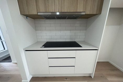 Photo of property in 105 Settlers Avenue, Hobsonville, Auckland, 0618