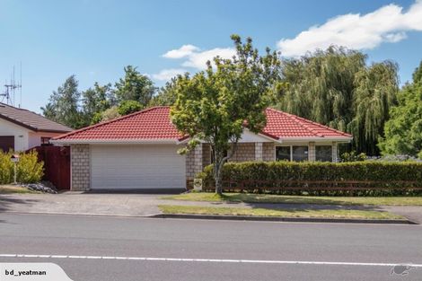 Photo of property in 86 Rowesdale Drive, Ohauiti, Tauranga, 3112