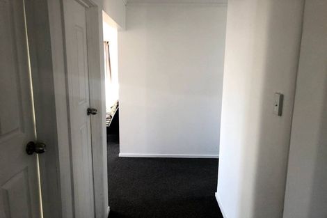 Photo of property in 19 Ryan Avenue, Chartwell, Hamilton, 3210