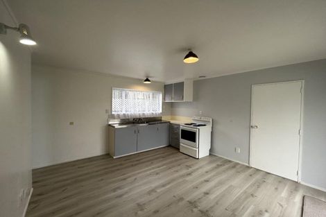 Photo of property in 38 Abbotsford Street, Whitiora, Hamilton, 3200