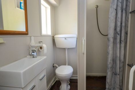 Photo of property in 17 Littlebourne Road, Roslyn, Dunedin, 9010