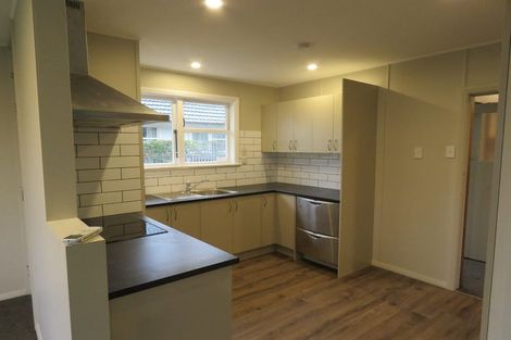 Photo of property in 42 Donegal Street, Belfast, Christchurch, 8051