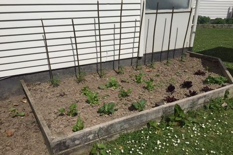 Photo of property in 21 Walker Terrace, Dinsdale, Hamilton, 3204