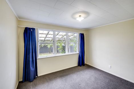 Photo of property in 141 Westminster Avenue, Tamatea, Napier, 4112