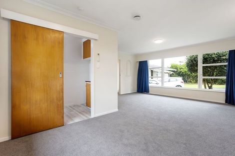 Photo of property in 163 Clarkin Road, Fairfield, Hamilton, 3214