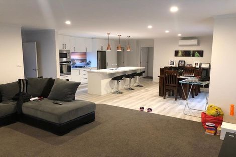 Photo of property in 19 Tuaia Street, Pyes Pa, Tauranga, 3112